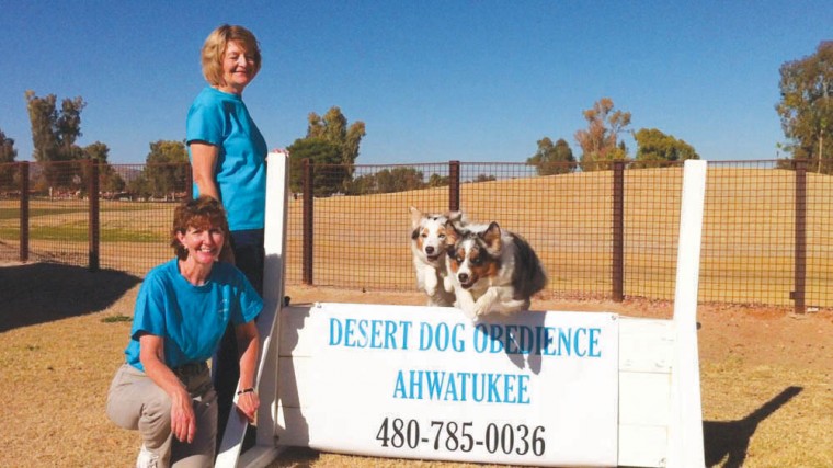 Best pet training